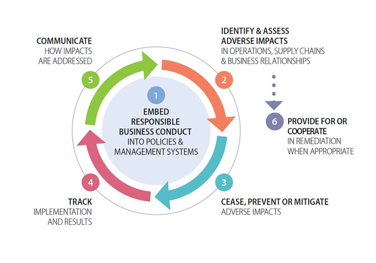 CSRD-CSDDD-figur-due-diligence 2000x1400.jpg