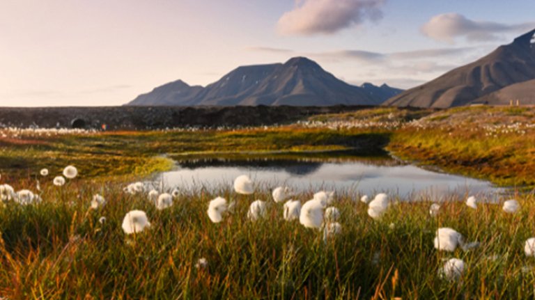 Svalbard-Norway